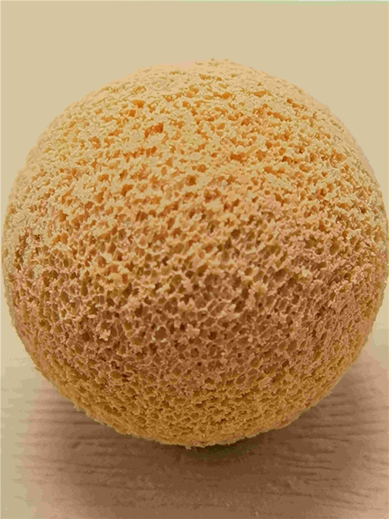 sxjsdy sponge balls